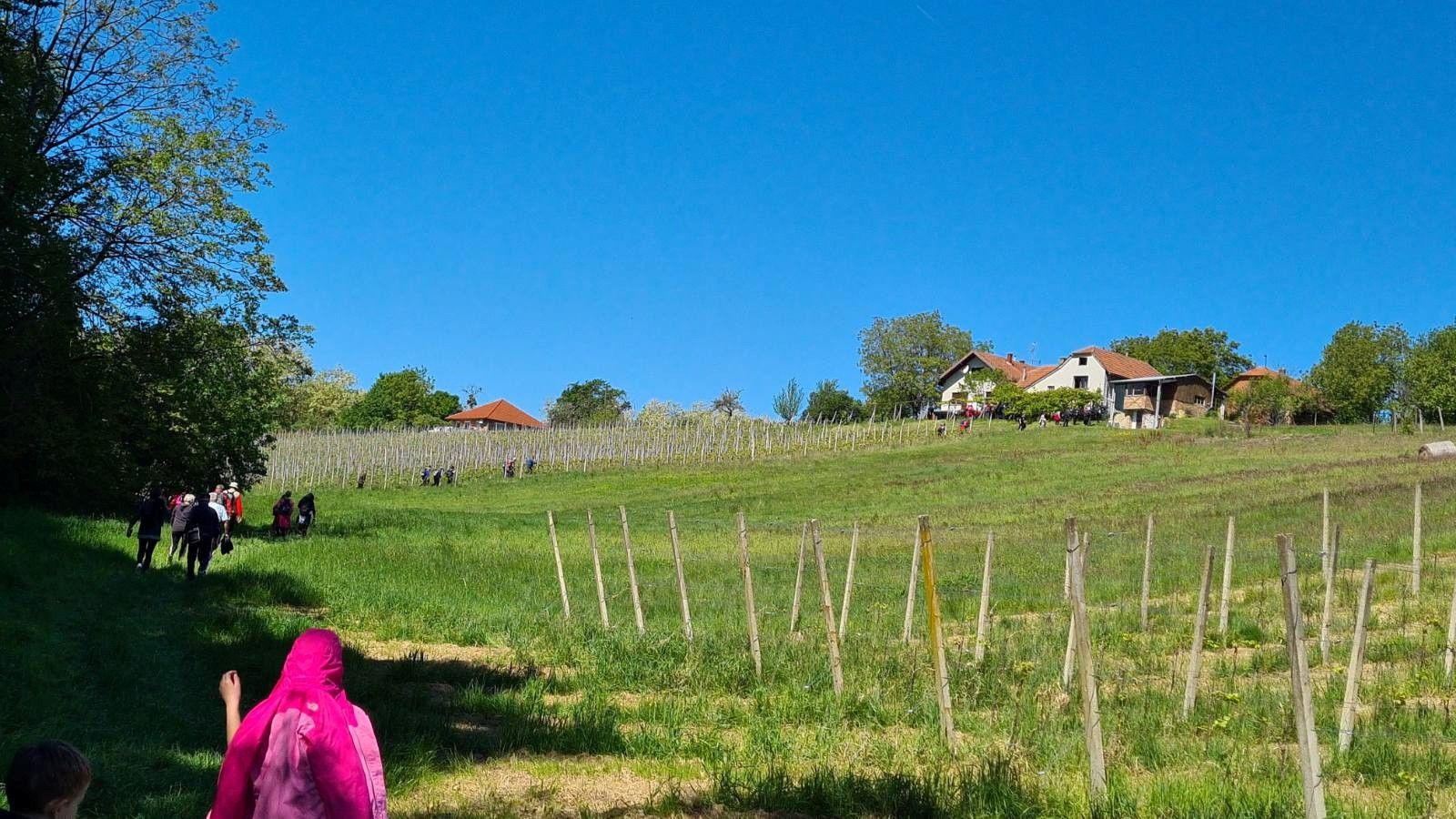 Sveti Juraj na Bregu - vinski pohod (2)