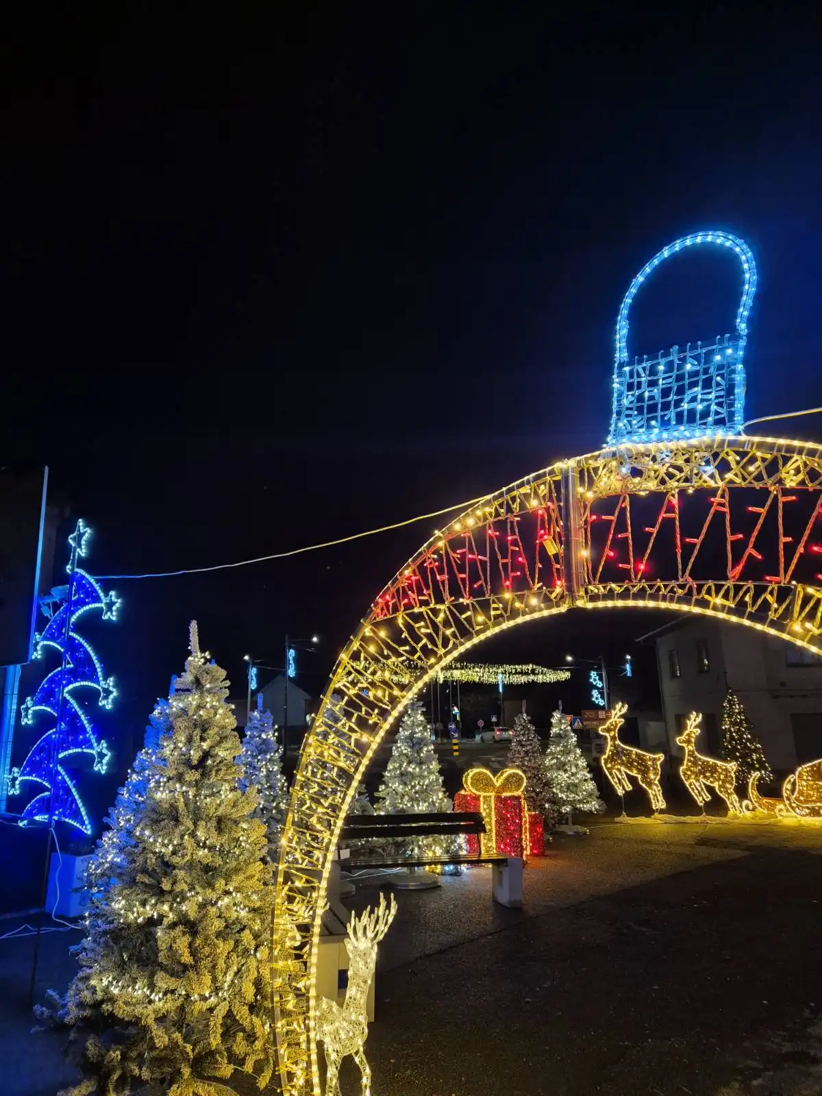 Sveti Martin na Muri – Božić (10)