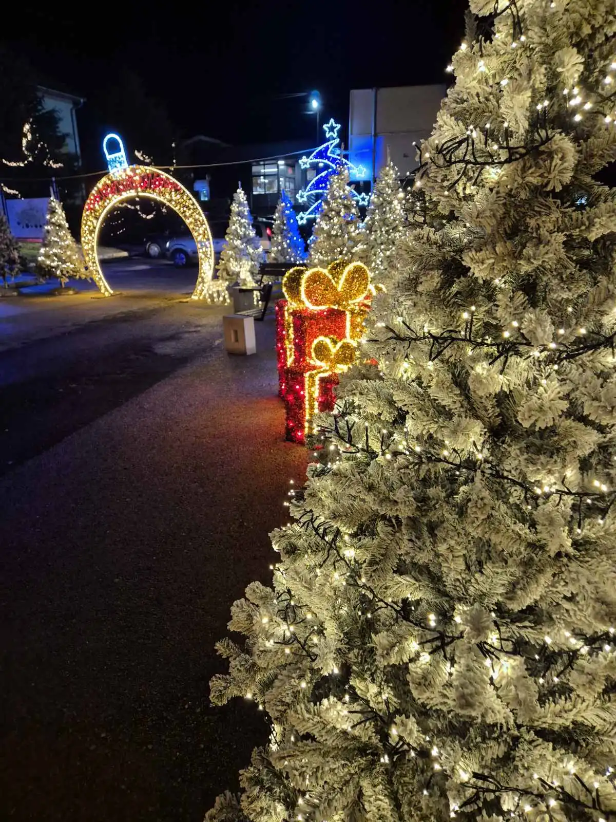 Sveti Martin na Muri – Božić (6)