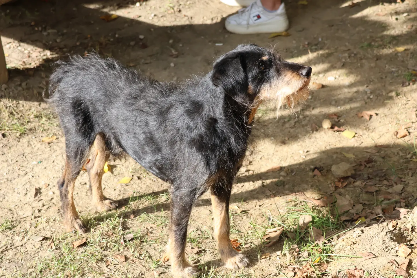Sveti Martin na Muri, Oktoberfest 2025., Skelarska kuća (46) Sveti Martin na Muri, Oktoberfest 2025., Skelarska kuća (46)