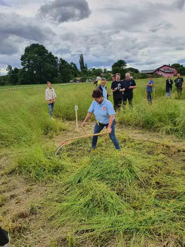 Sveti Martin na Muri – natjecanje ručnom kosom (4) Sveti Martin na Muri – natjecanje ručnom kosom (4)