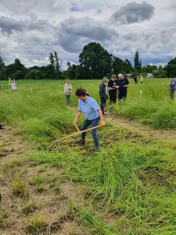 Sveti Martin na Muri – natjecanje ručnom kosom (5) Sveti Martin na Muri – natjecanje ručnom kosom (5)