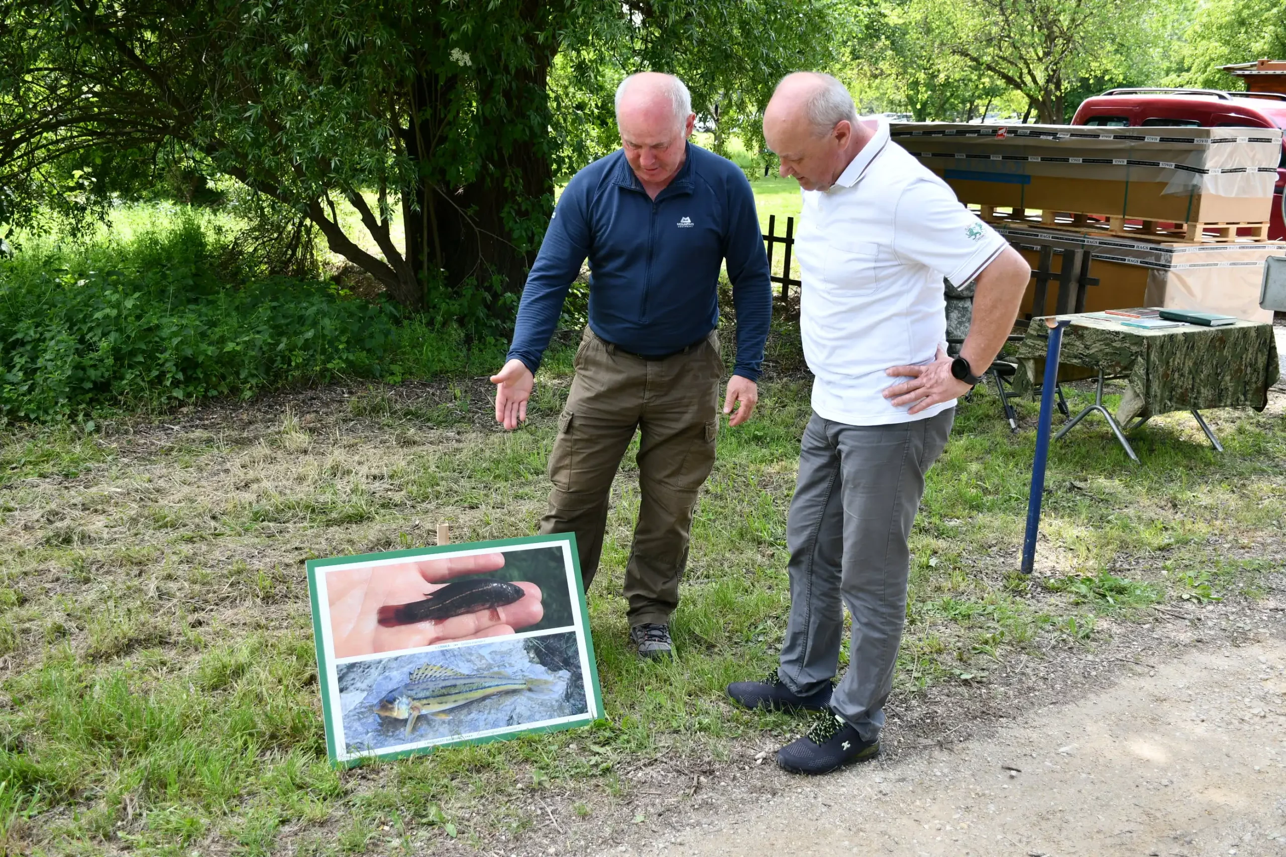 Josip Horvat Majzek Josip Horvat Majzek