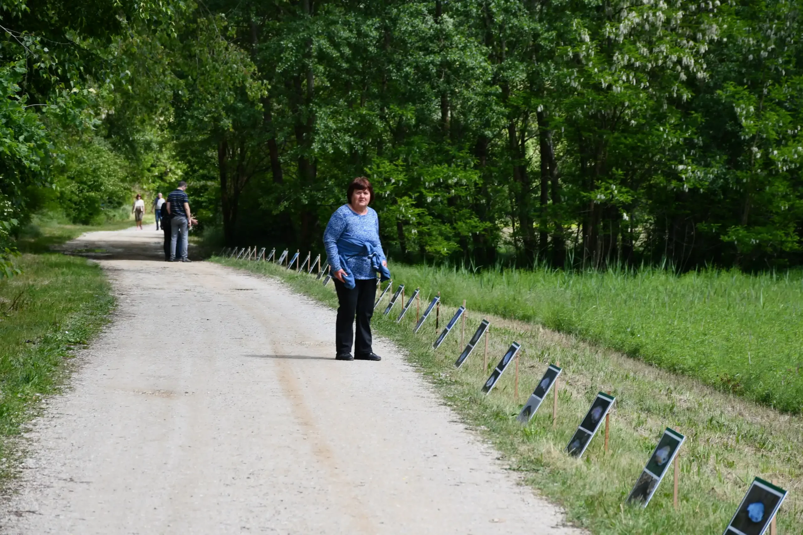 Svetomartinska grahijada 2024. (54) Svetomartinska grahijada 2024. (54)