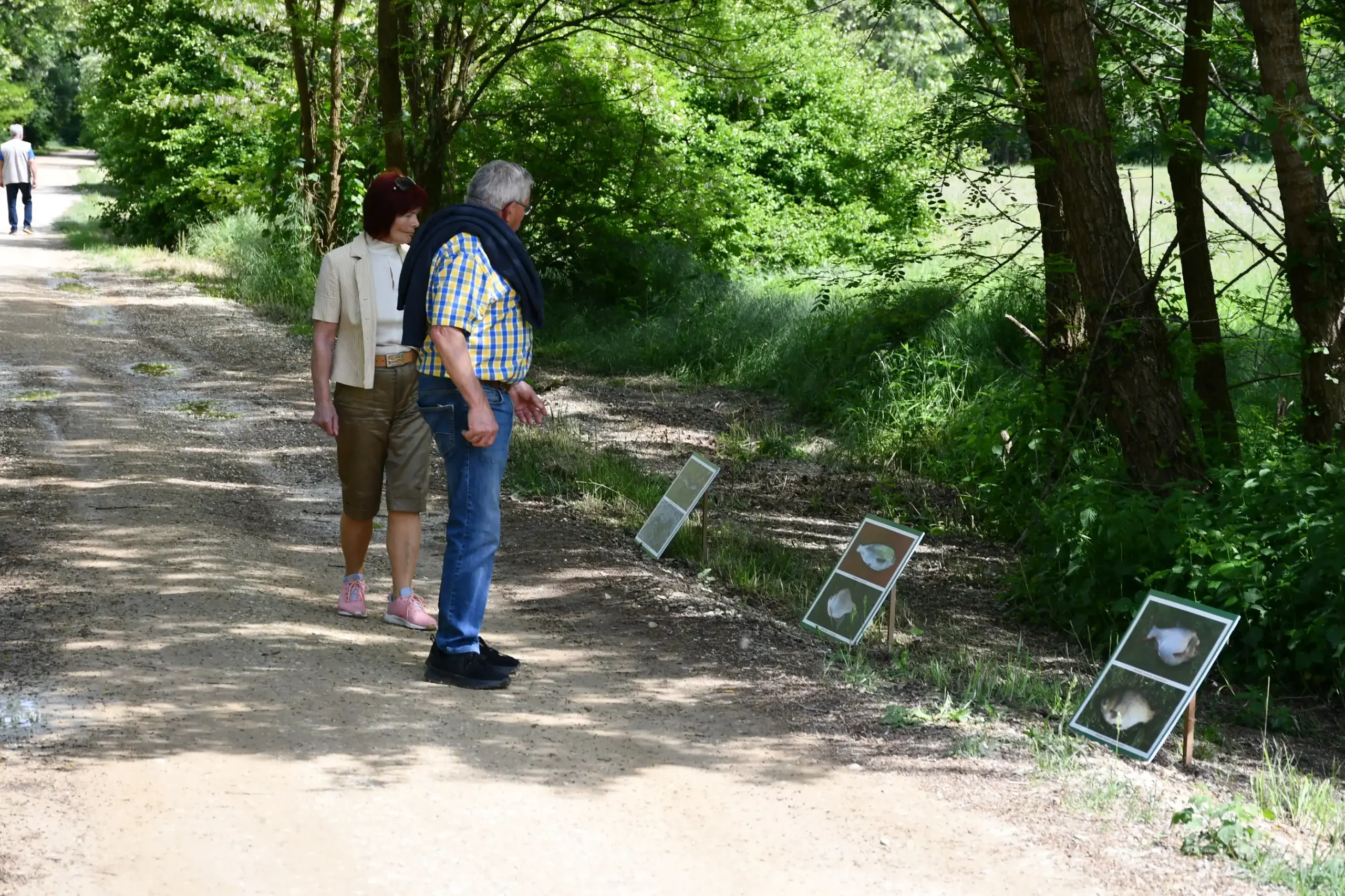 Svetomartinska grahijada 2024. (61) Svetomartinska grahijada 2024. (61)