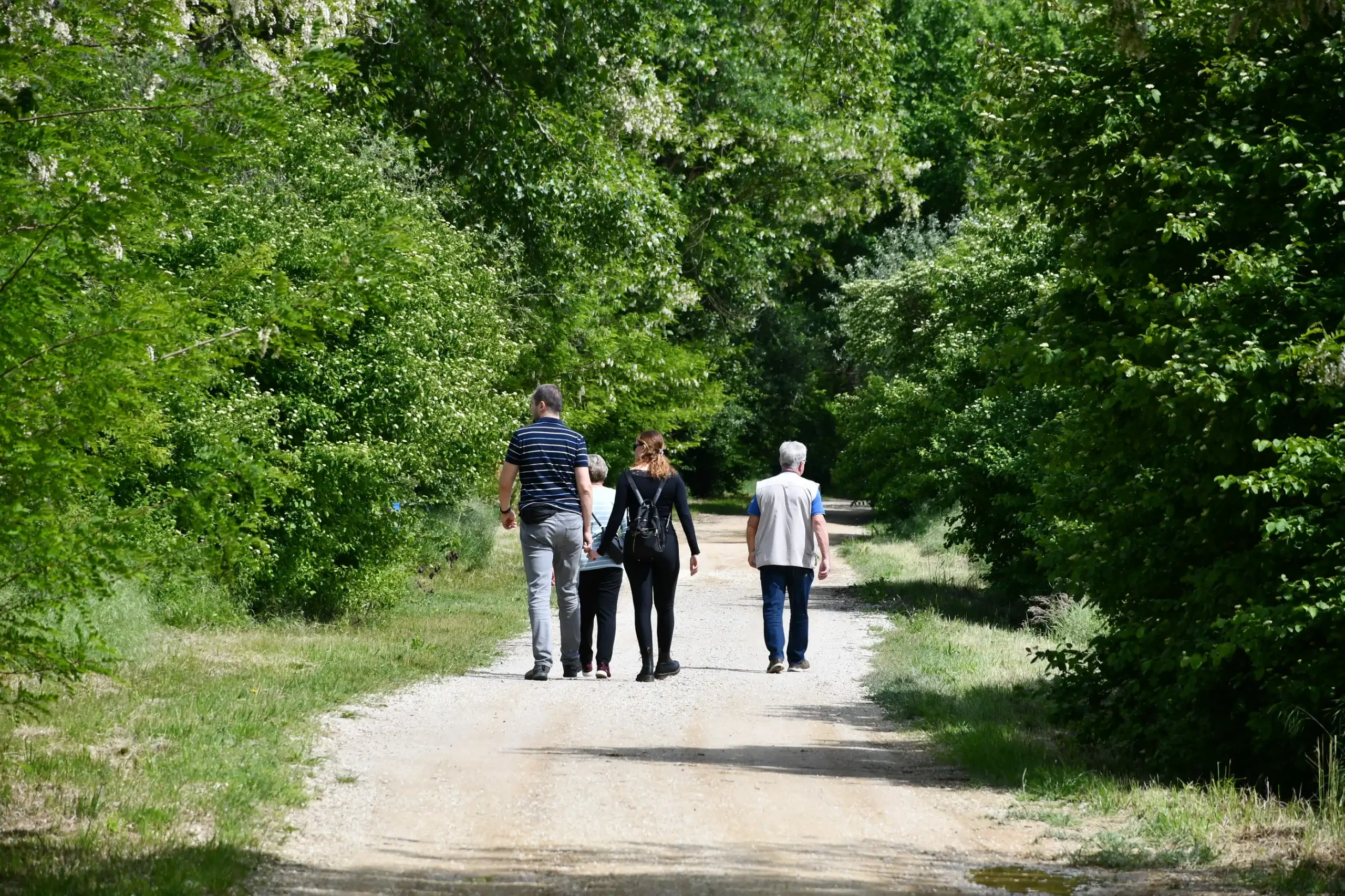 Svetomartinska grahijada 2024. (62) Svetomartinska grahijada 2024. (62)