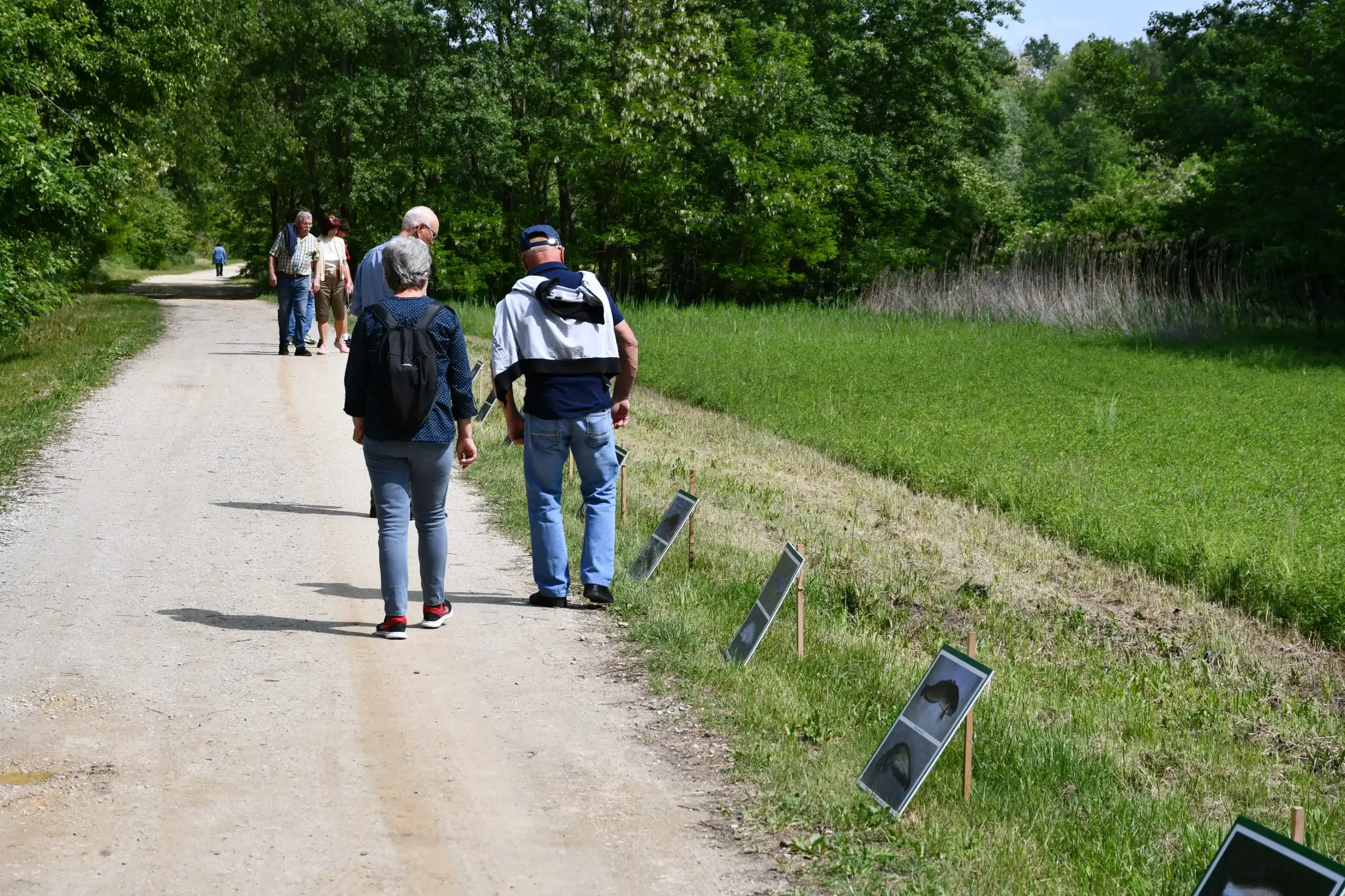 Svetomartinska grahijada 2024. (65) Svetomartinska grahijada 2024. (65)