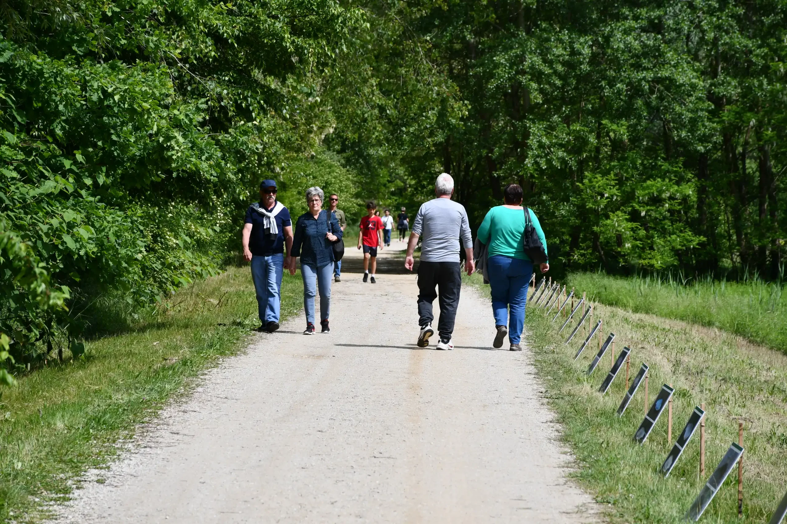 Svetomartinska grahijada 2024. (67) Svetomartinska grahijada 2024. (67)