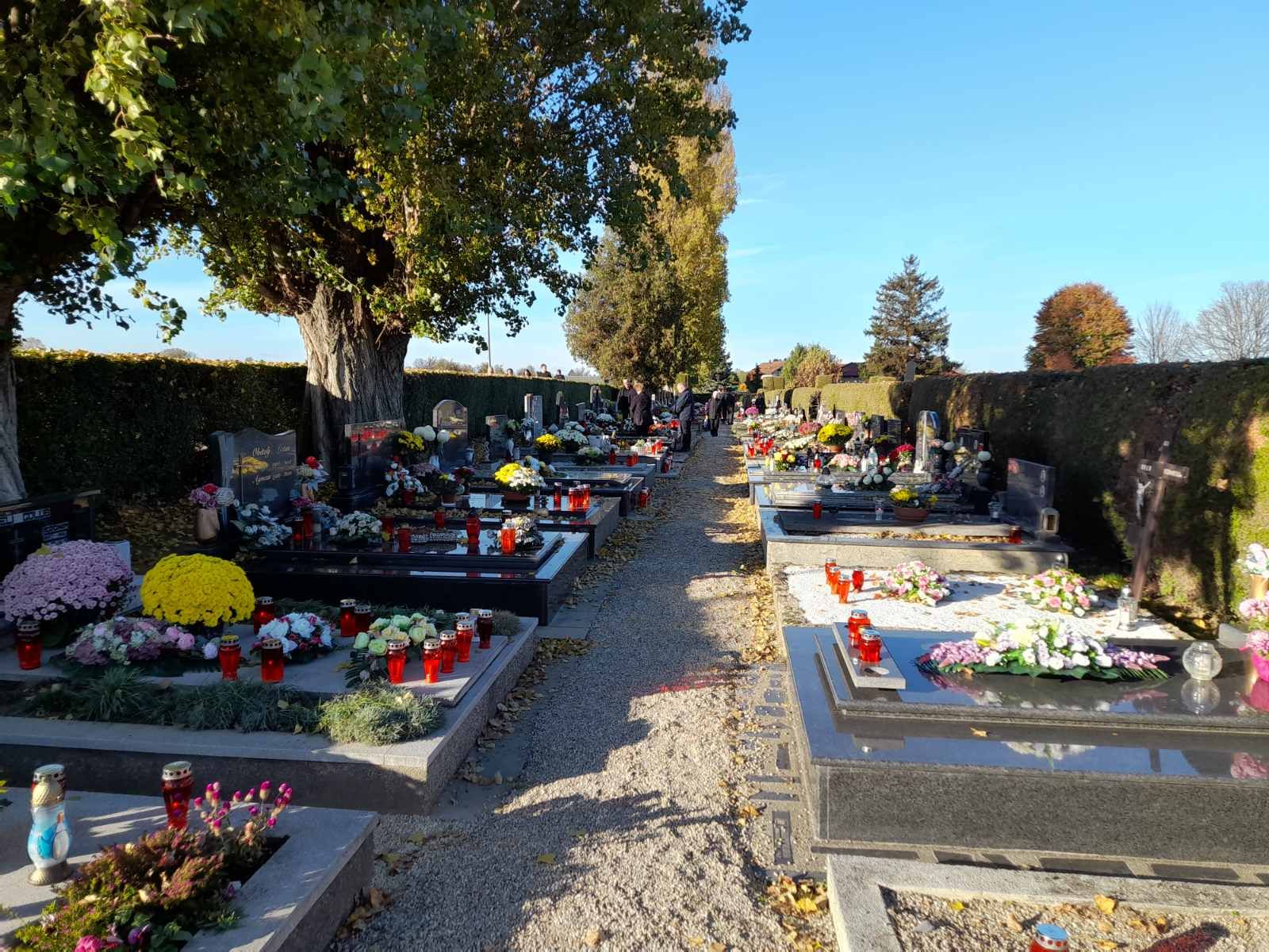 Svi Sveti Kotoriba groblje 39