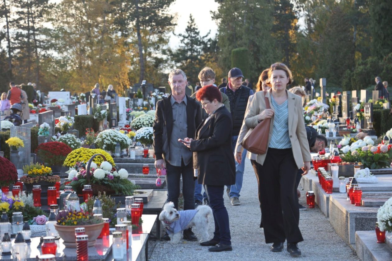 Svi Sveti Mihovljan groblje 18