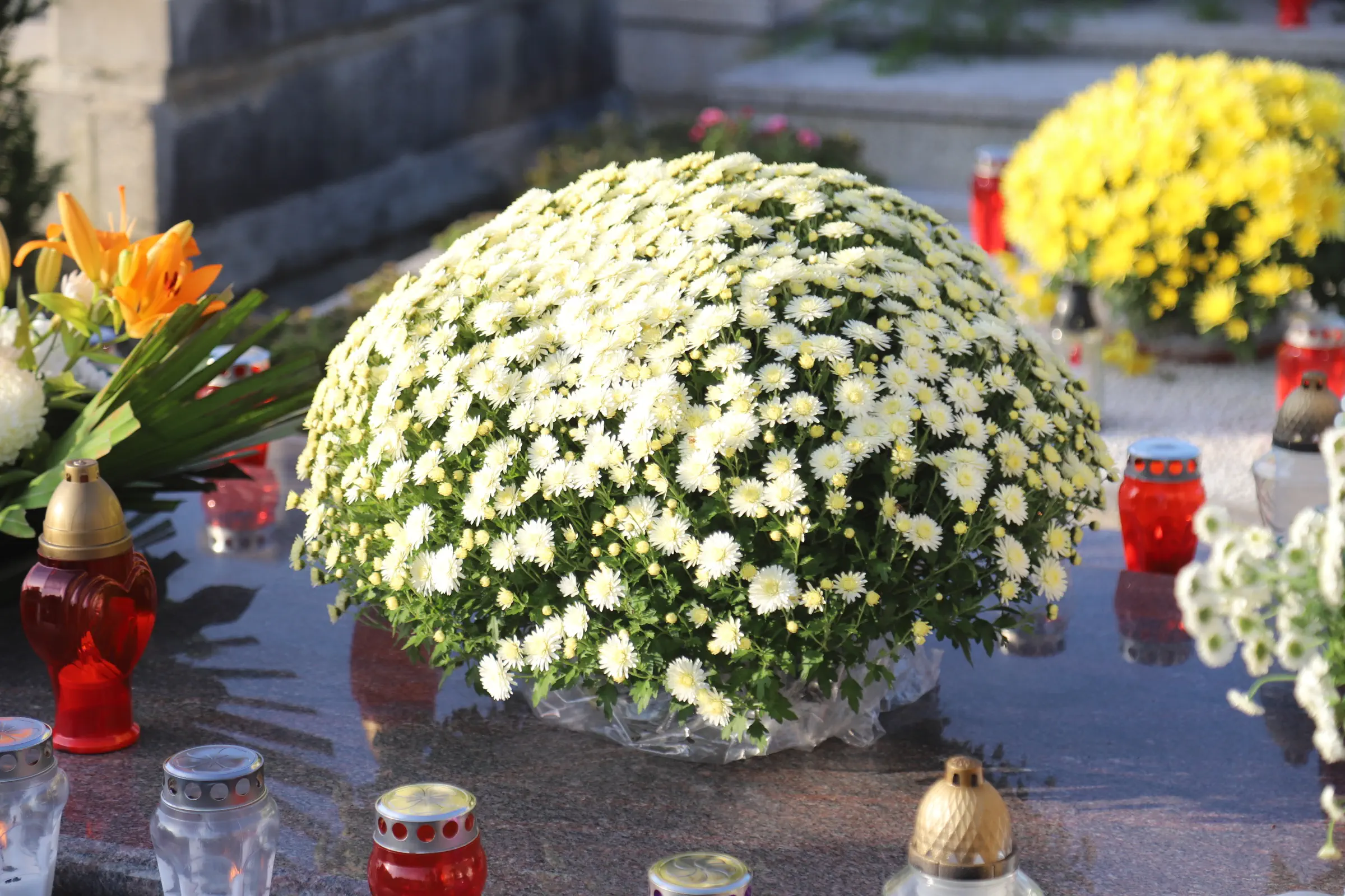 Svi Sveti Prelog 2024 (23) Svi Sveti Prelog 2024 (23)