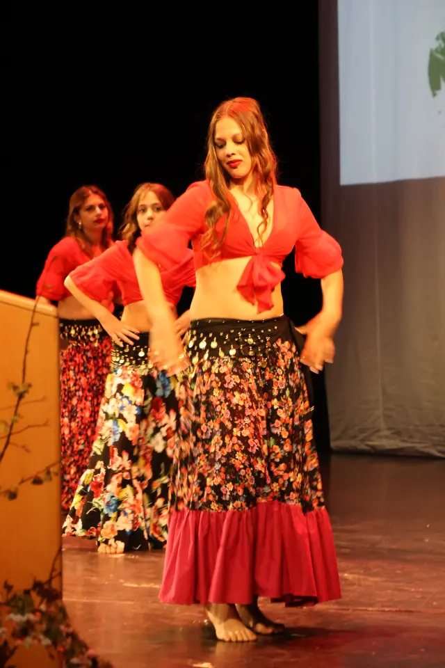 Svjetski dan Roma, Centar za kulturu, 2026 (78)