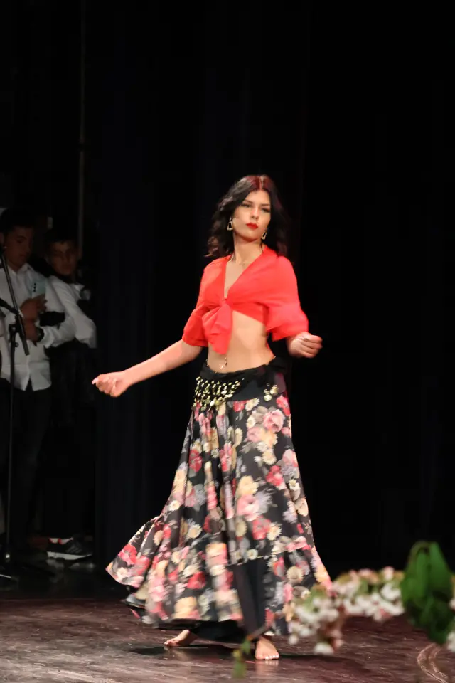 Svjetski dan Roma, Centar za kulturu, 2026 (79)