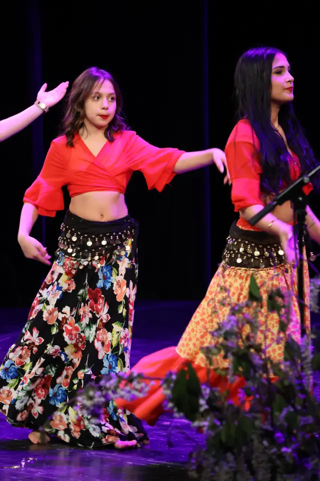 Svjetski dan Roma, Centar za kulturu, 2026 (82)