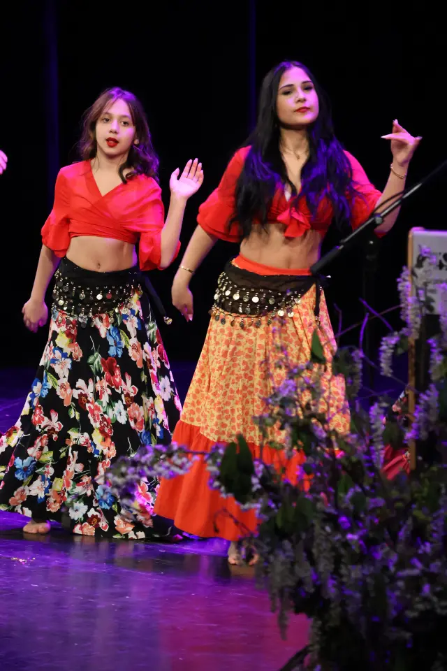 Svjetski dan Roma, Centar za kulturu, 2026 (83)