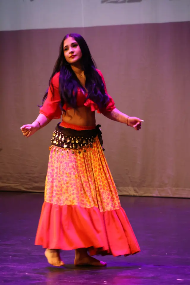 Svjetski dan Roma, Centar za kulturu, 2026 (84)