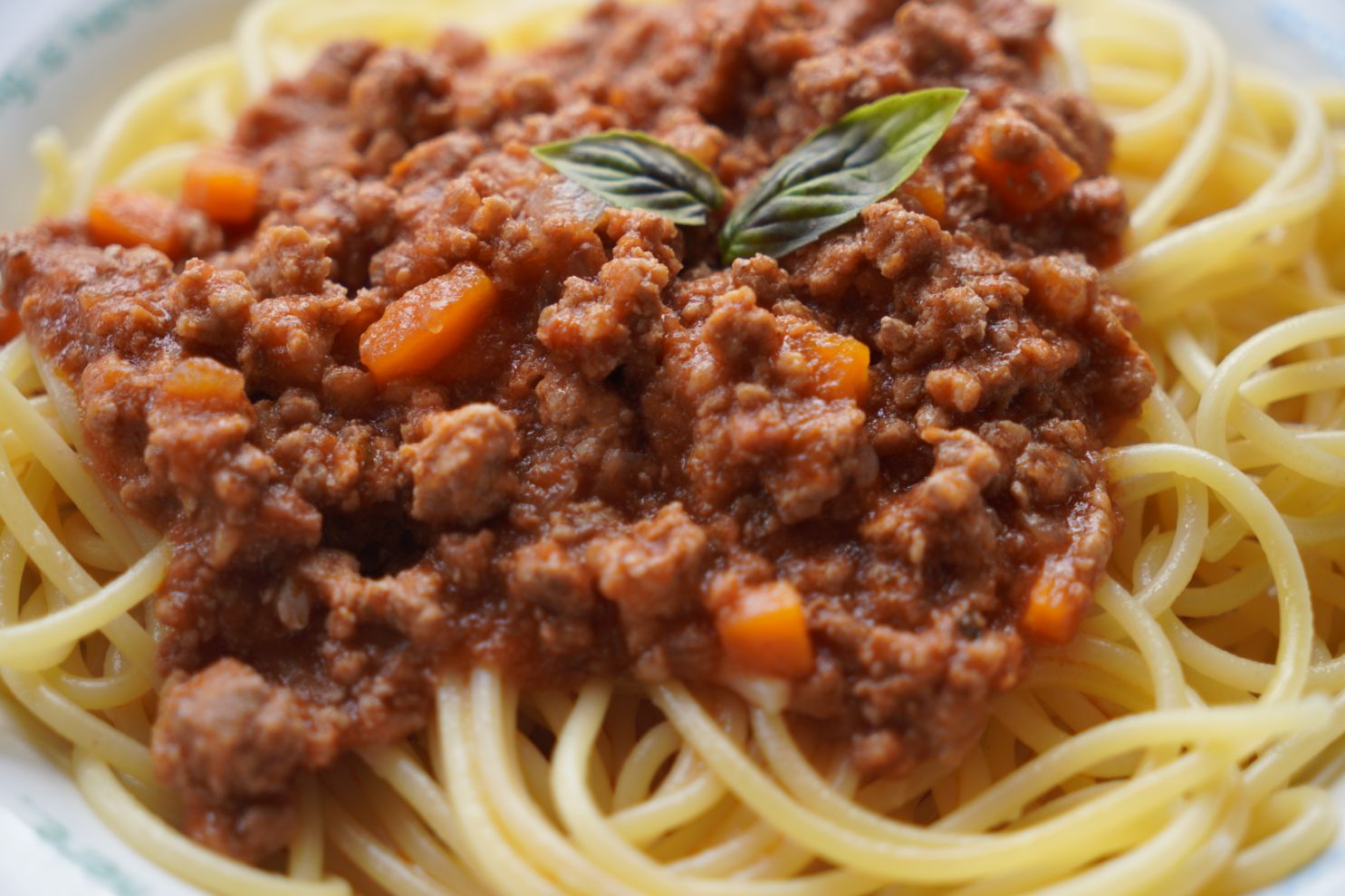 Svjetski dan hrane bolognese umak tjestenina (4)