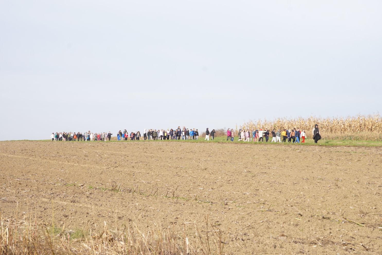 Svjetski dan jabuka (1)