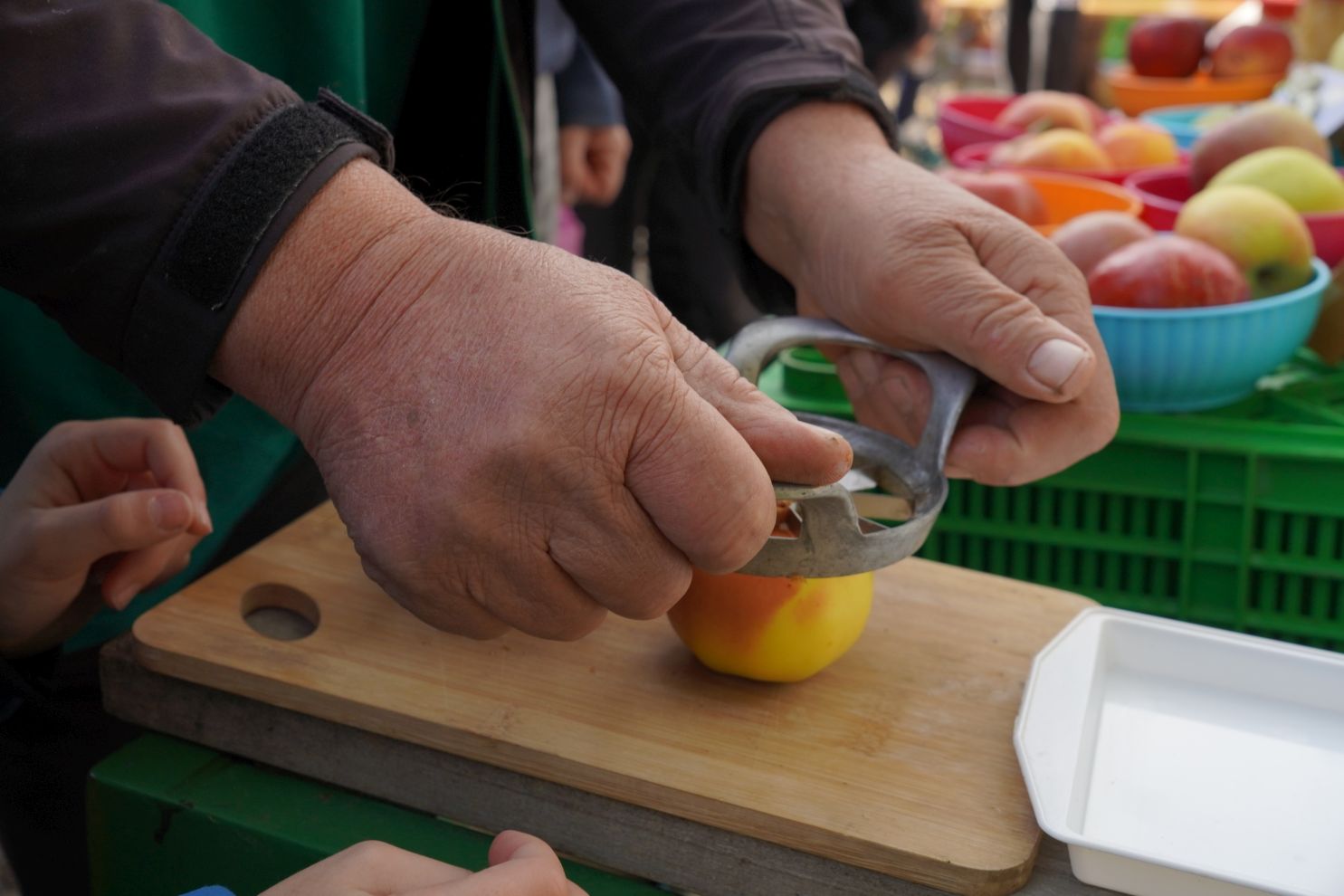 Svjetski dan jabuka (29)