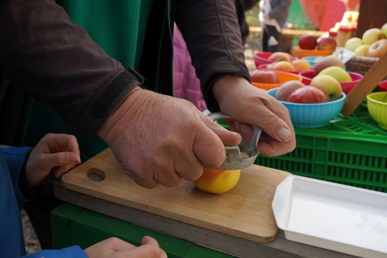 Svjetski dan jabuka (30)
