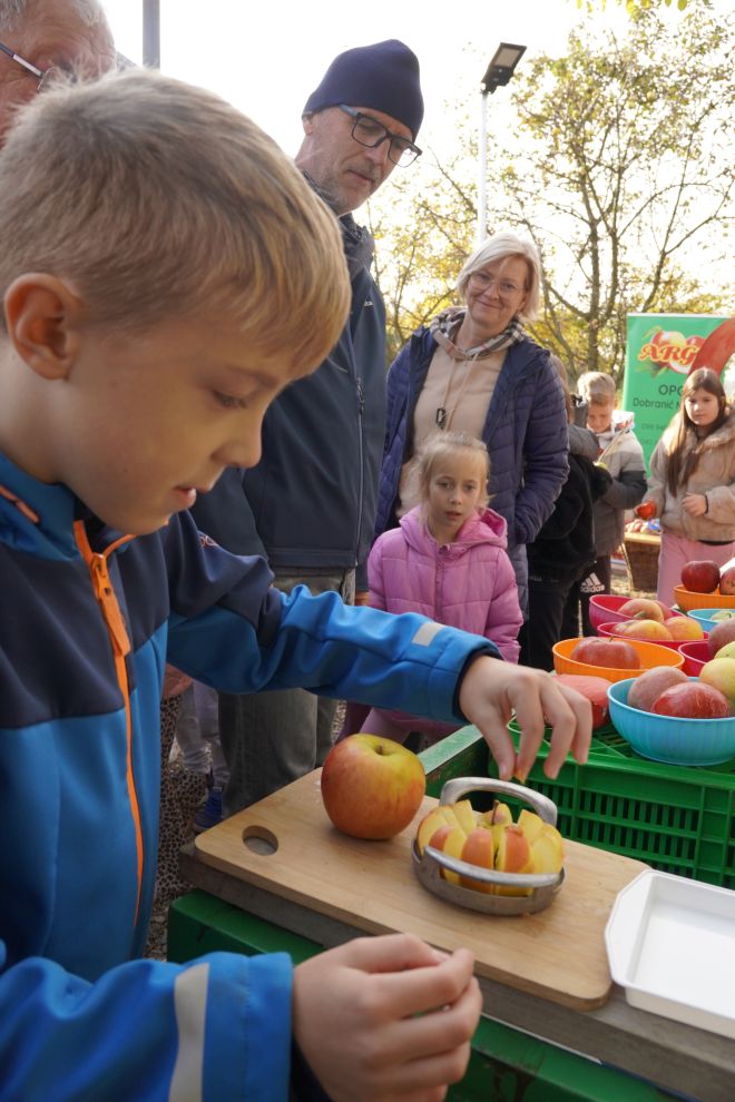Svjetski dan jabuka (32)