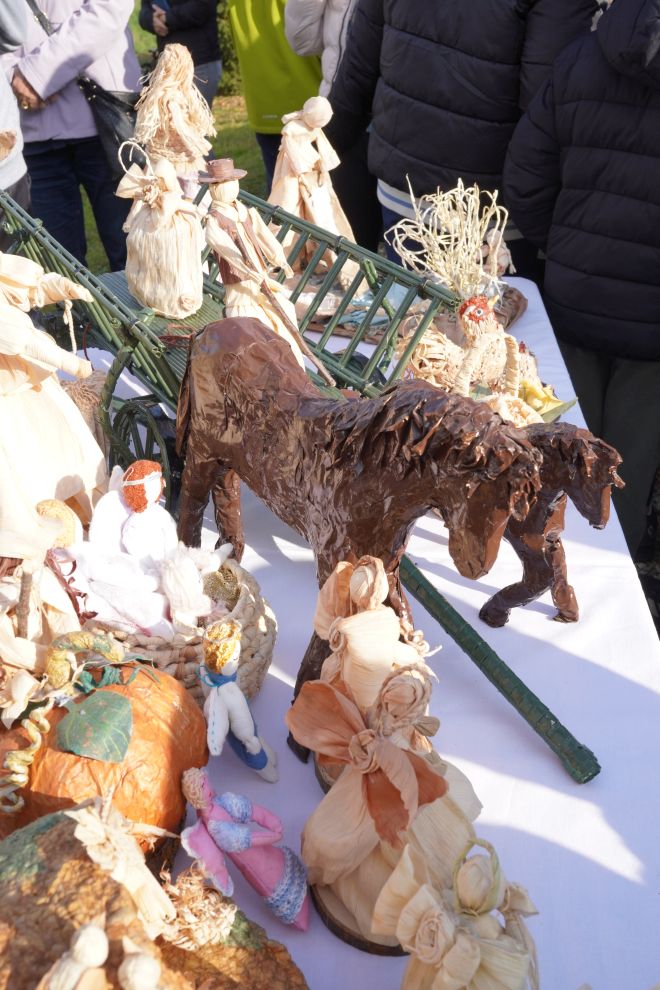 Svjetski dan jabuka (33)