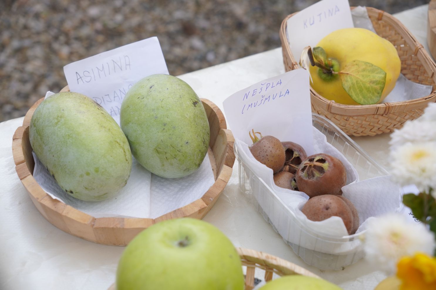 Svjetski dan jabuka (44)