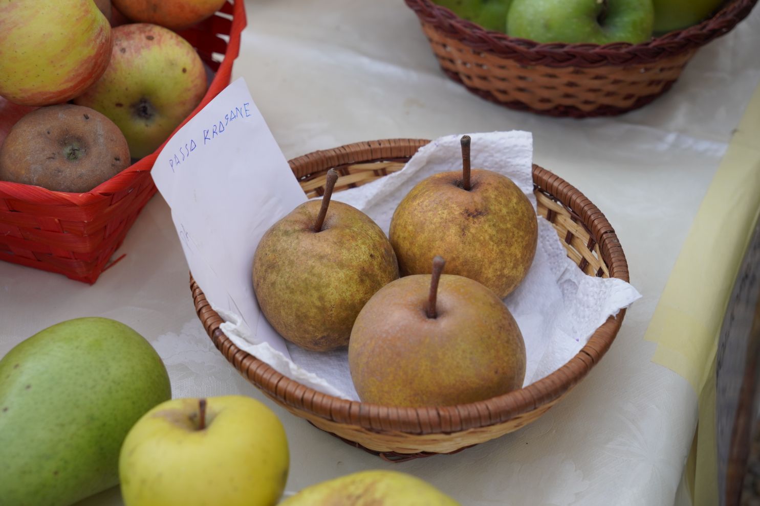 Svjetski dan jabuka (46)
