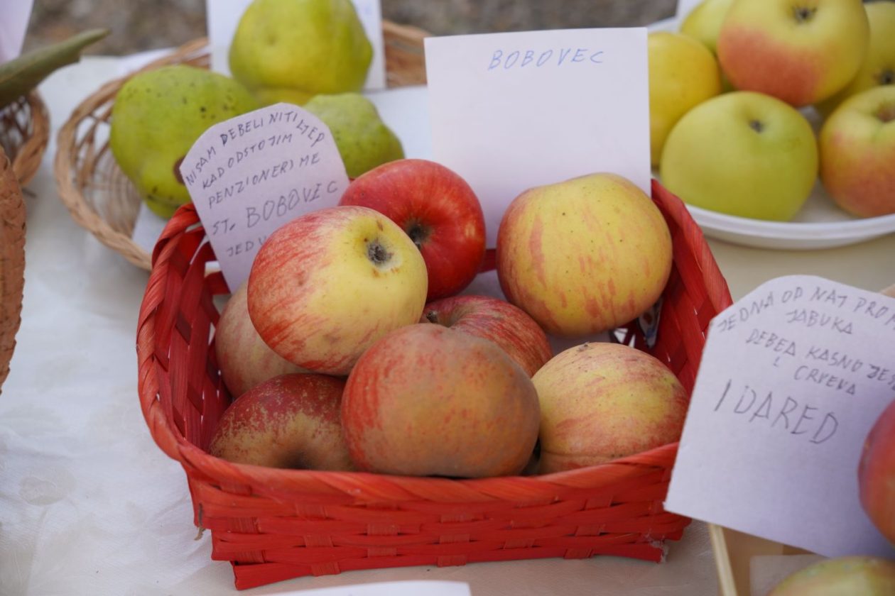 Svjetski dan jabuka (47)