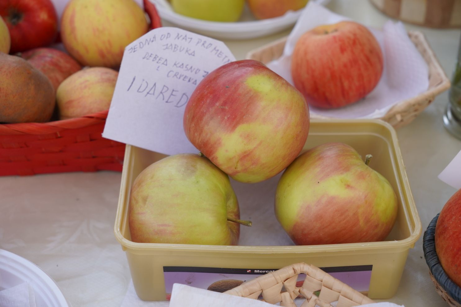 Svjetski dan jabuka (48)