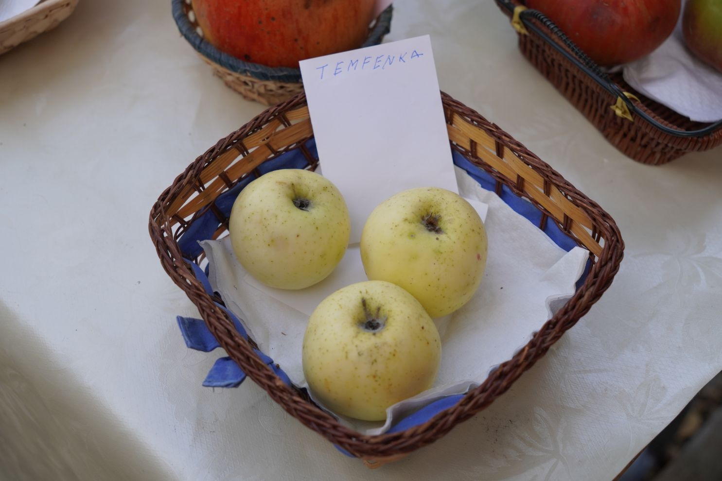 Svjetski dan jabuka (49)