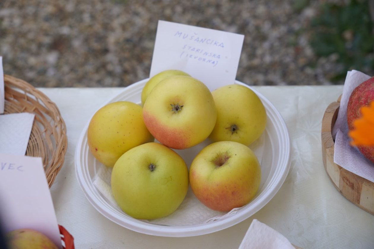 Svjetski dan jabuka (50)