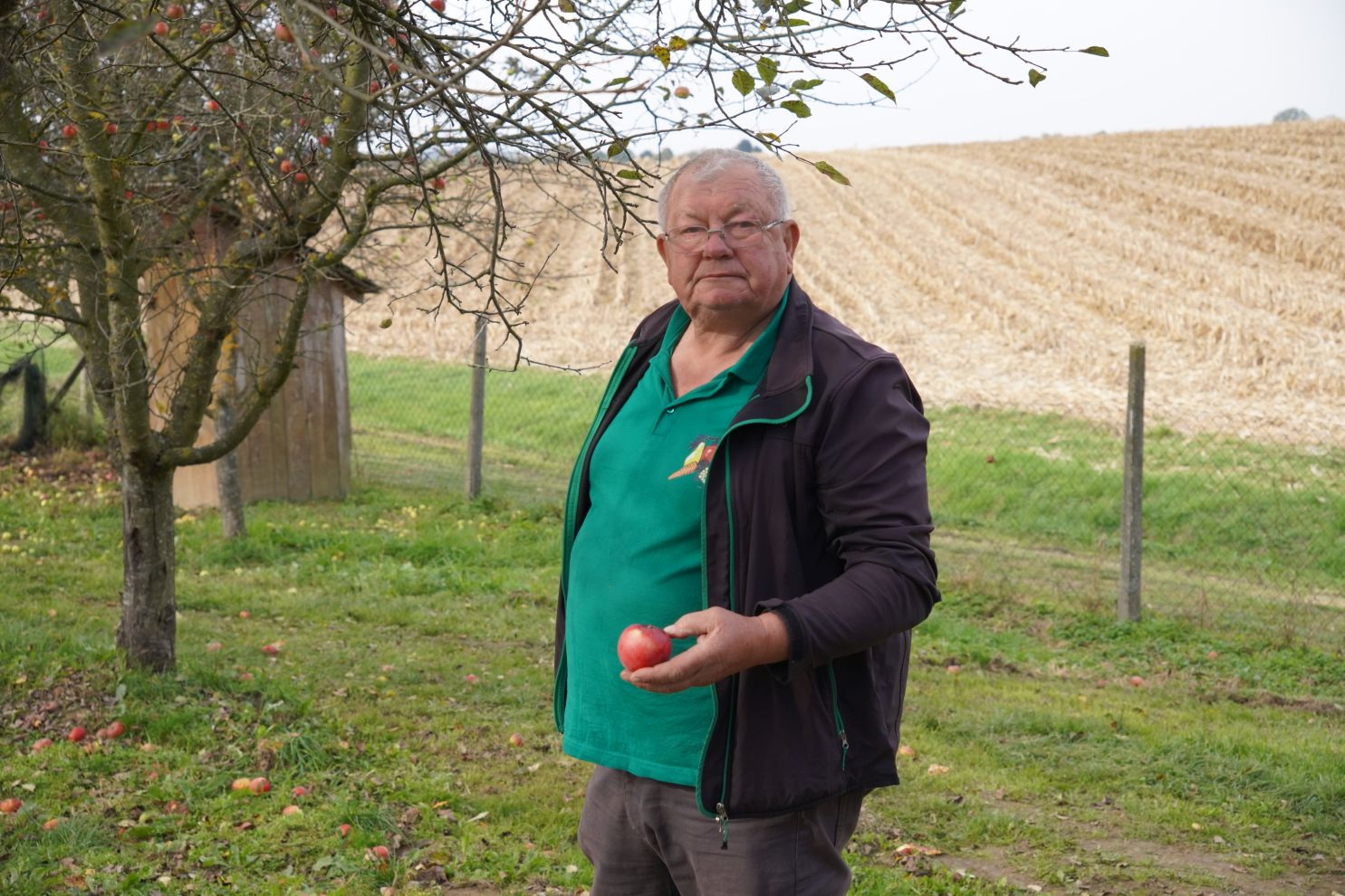 Svjetski dan jabuka (54)