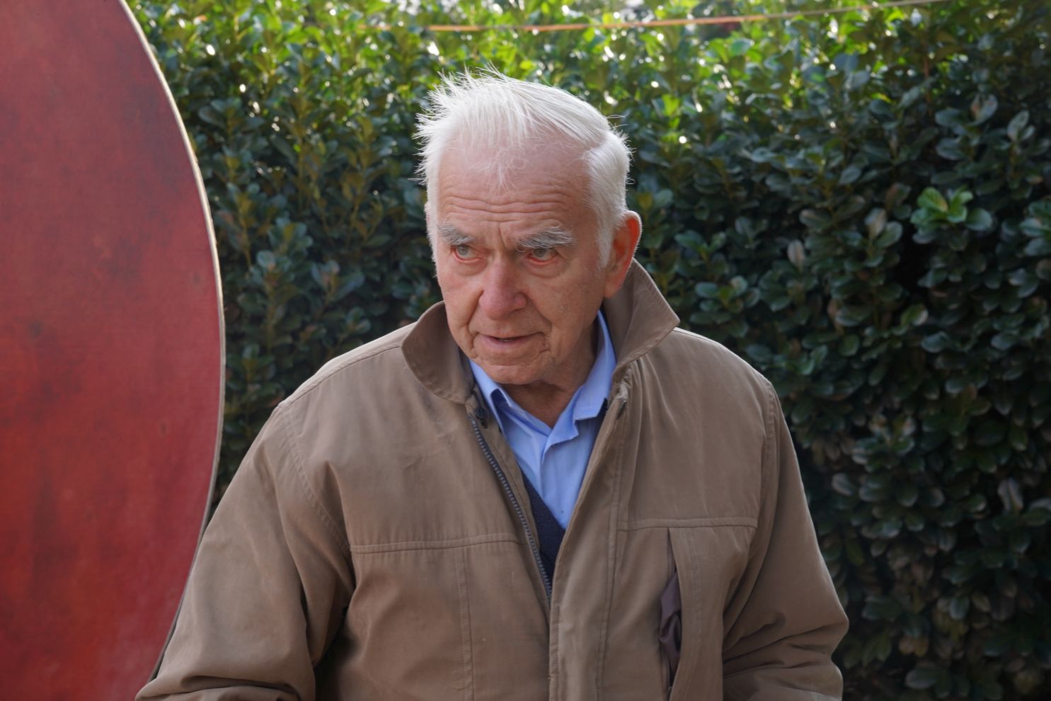 Svjetski dan jabuka (8)