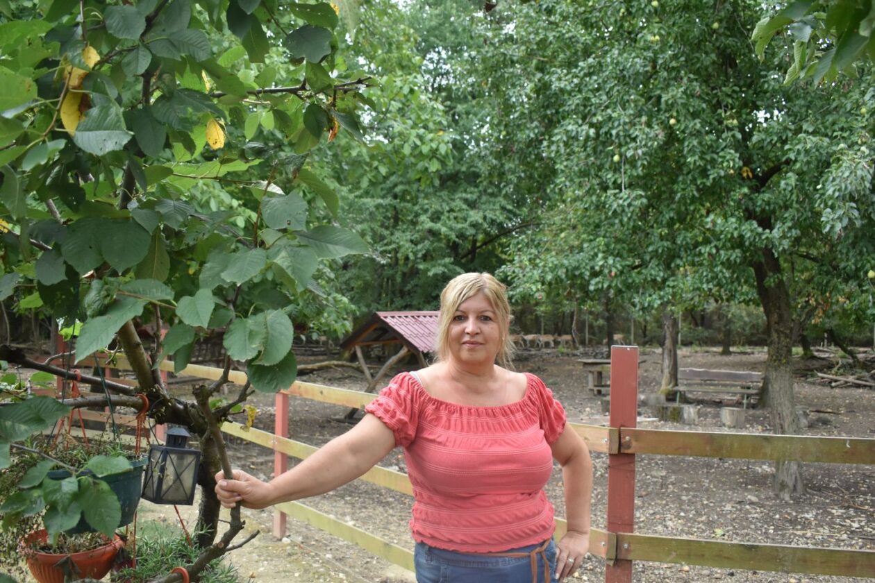 TATJANA JANUŠIĆ IZ BELICE Iz znatiželje se počela baviti uzgojem jelena lopatara (5) TATJANA JANUŠIĆ IZ BELICE Iz znatiželje se počela baviti uzgojem jelena lopatara (5)