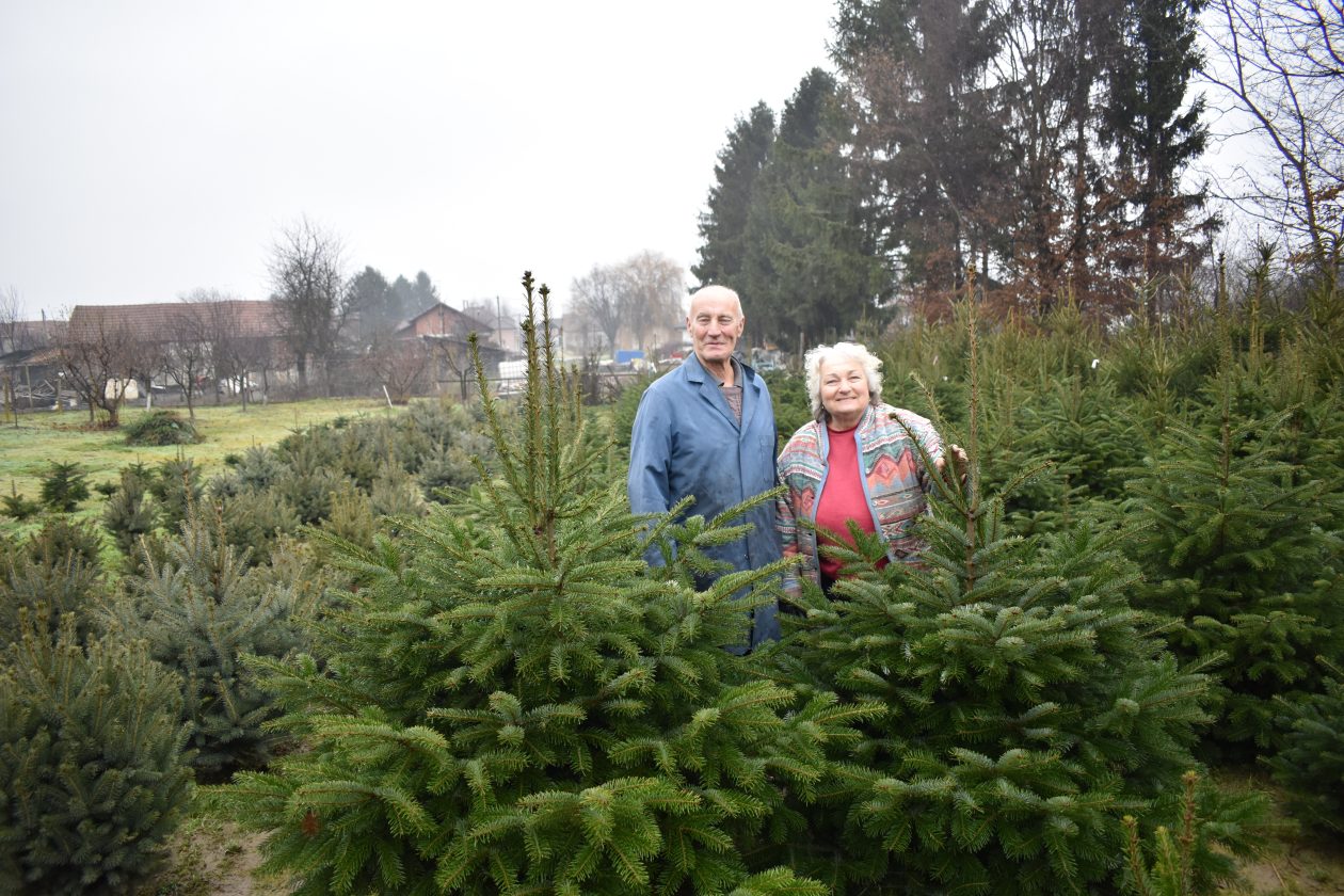 ŠTRUKOVEC Nasta i Stjepan Crnković
