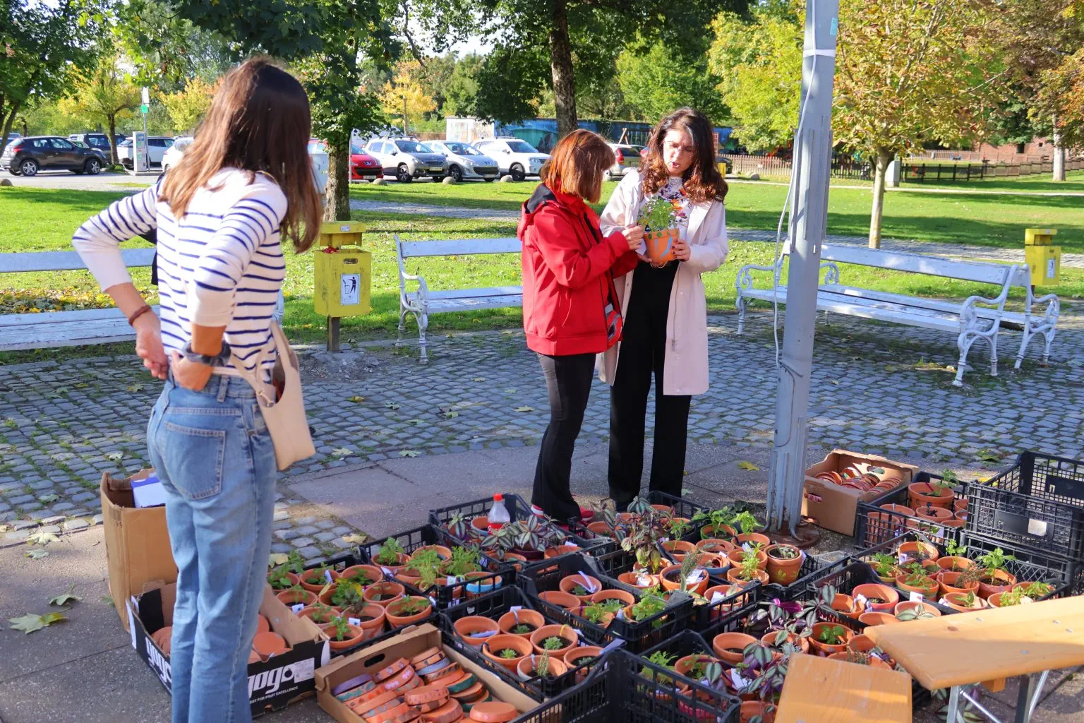TRG REPUBLIKE Čakovec obilježio Svjetski dan mentalnog zdravlja i beskućnika Podrška najranjivijima kroz edukaciju i solidarnost (6) TRG REPUBLIKE Čakovec obilježio Svjetski dan mentalnog zdravlja i beskućnika Podrška najranjivijima kroz edukaciju i solidarnost (6)
