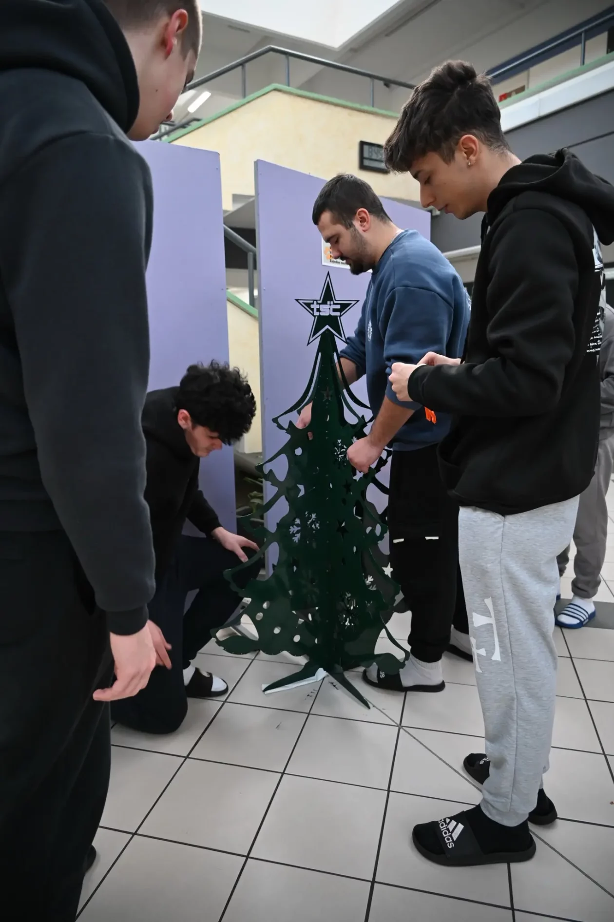 TŠČ 3D božićni ukrasi (1) TŠČ 3D božićni ukrasi (1)