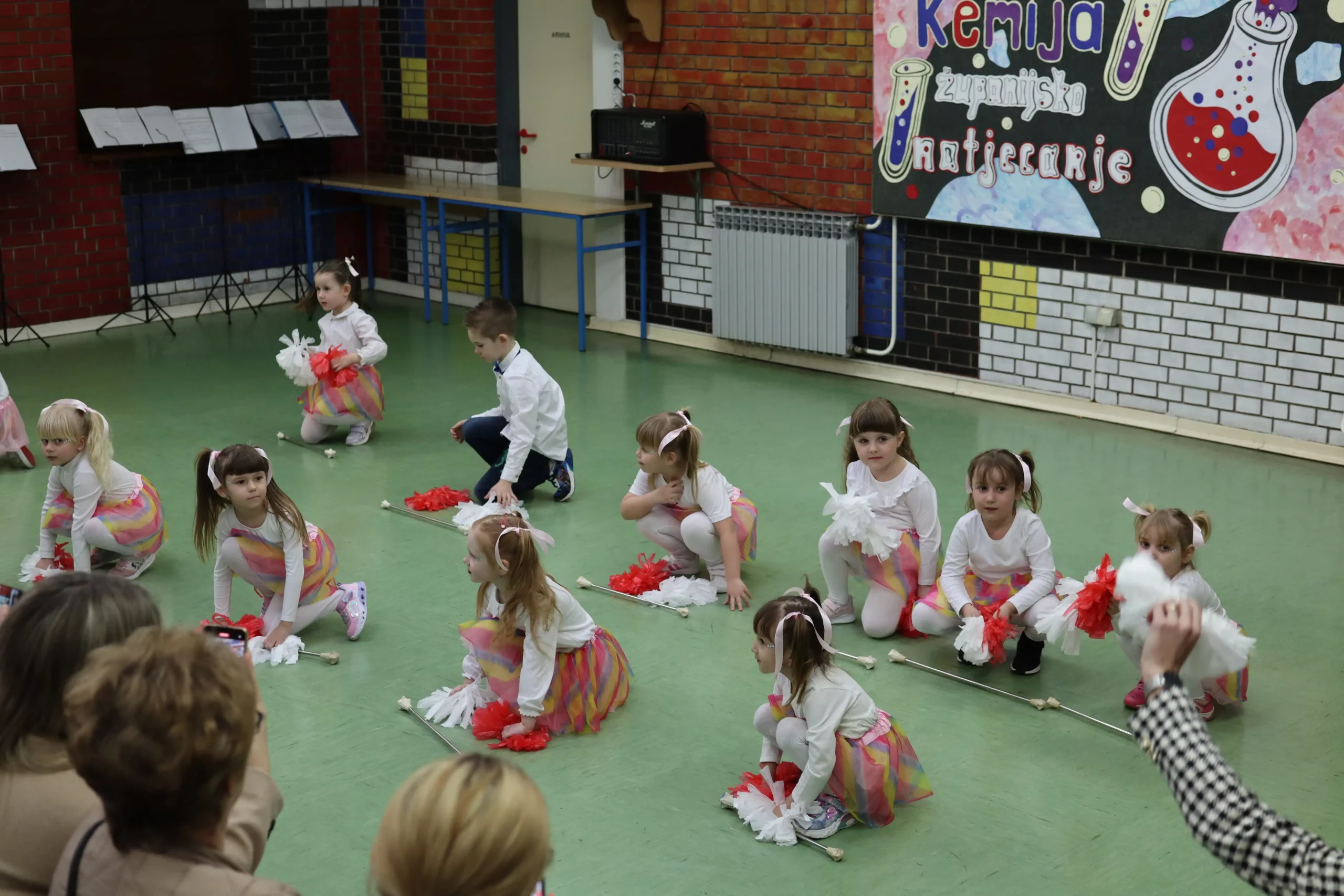 TZ Sveti Martin priredba dan žena (46)