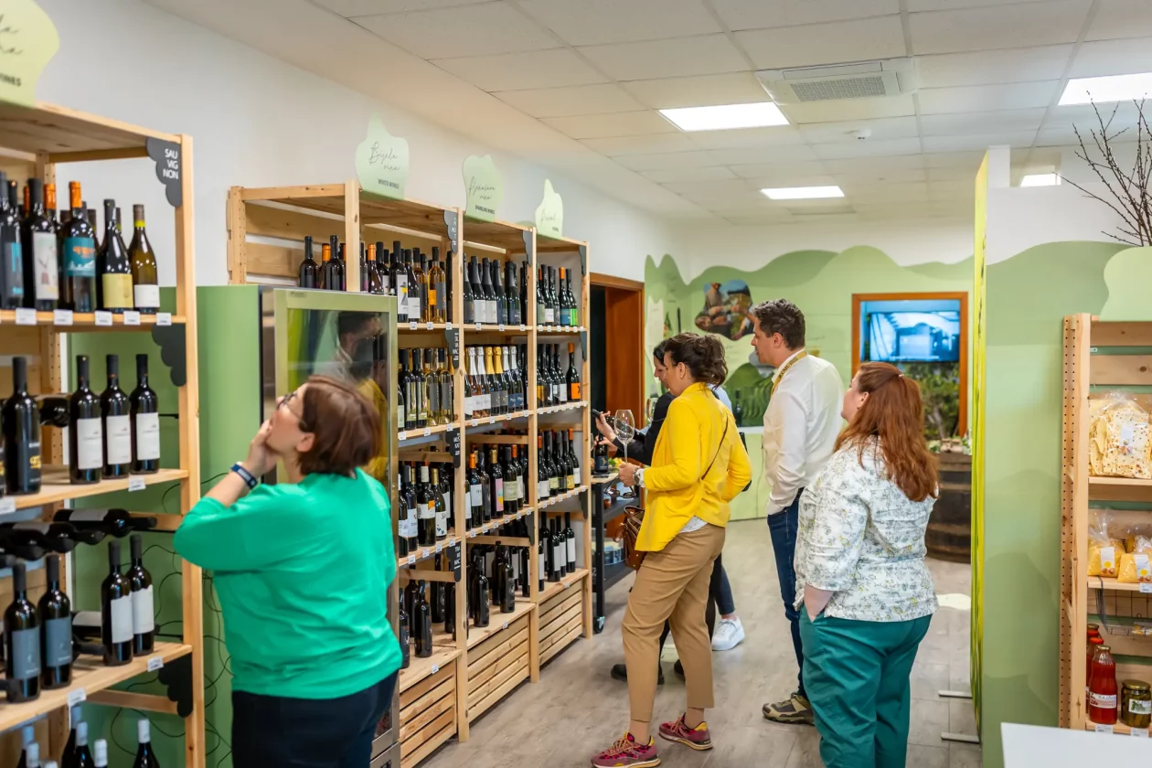 TZMŽ – Terca art – vino Međimurje (13) TZMŽ – Terca art – vino Međimurje (13)