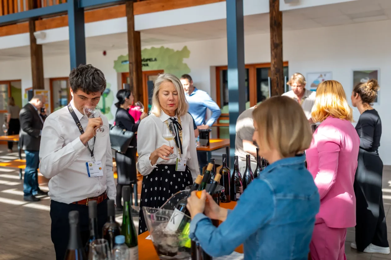 TZMŽ – Terca art – vino Međimurje (15) TZMŽ – Terca art – vino Međimurje (15)