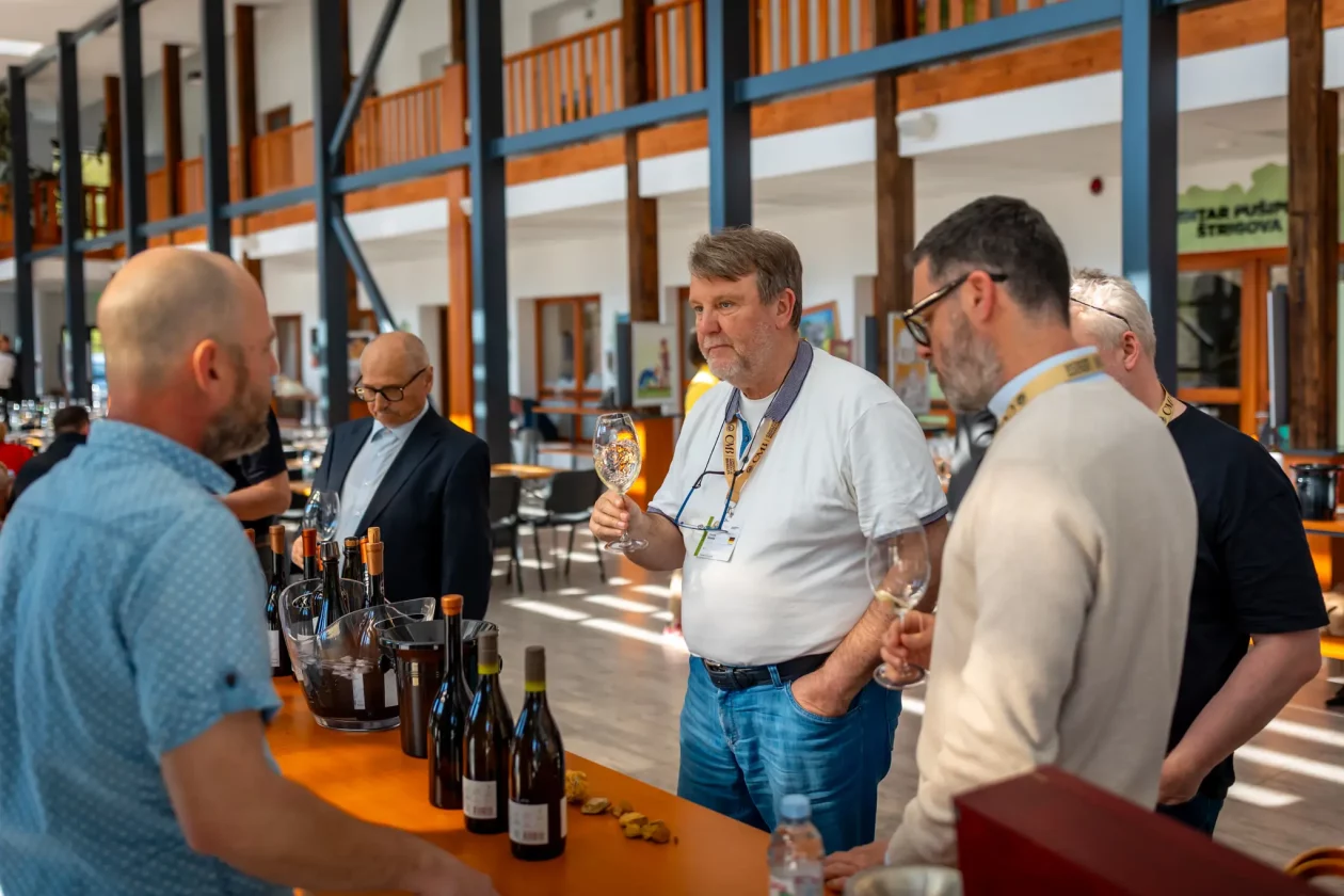 TZMŽ – Terca art – vino Međimurje (16) TZMŽ – Terca art – vino Međimurje (16)