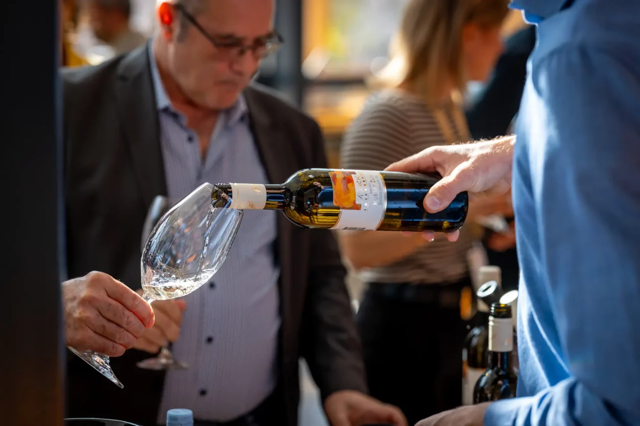 TZMŽ – Terca art – vino Međimurje (17) TZMŽ – Terca art – vino Međimurje (17)