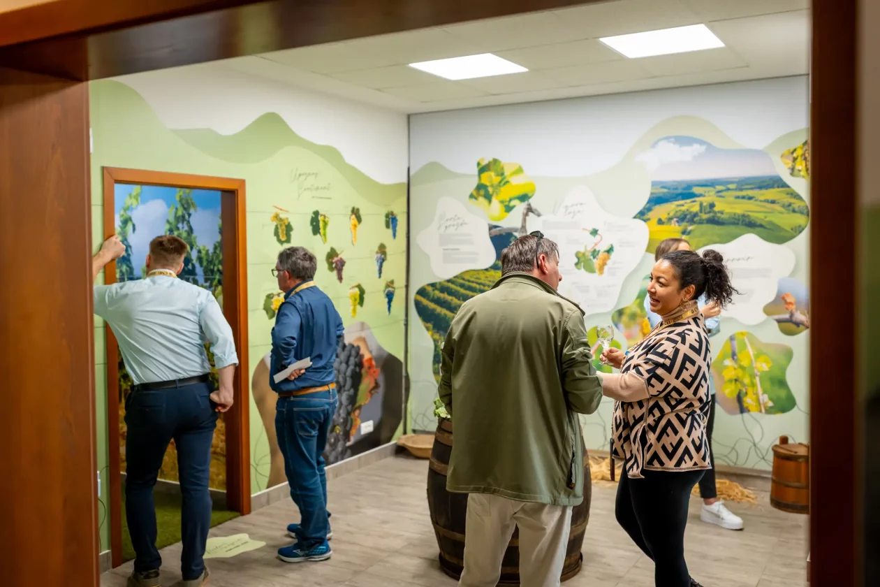 TZMŽ – Terca art – vino Međimurje (18) TZMŽ – Terca art – vino Međimurje (18)