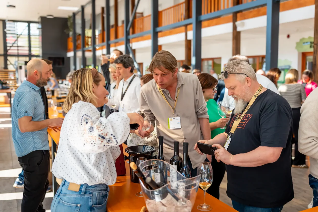 TZMŽ – Terca art – vino Međimurje (19) TZMŽ – Terca art – vino Međimurje (19)