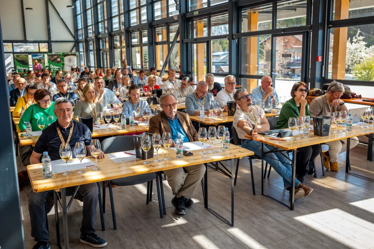 TZMŽ – Terca art – vino Međimurje (2) TZMŽ – Terca art – vino Međimurje (2)