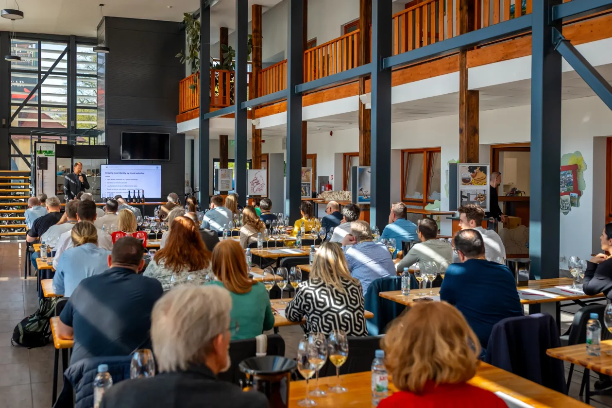 TZMŽ – Terca art – vino Međimurje (4) TZMŽ – Terca art – vino Međimurje (4)
