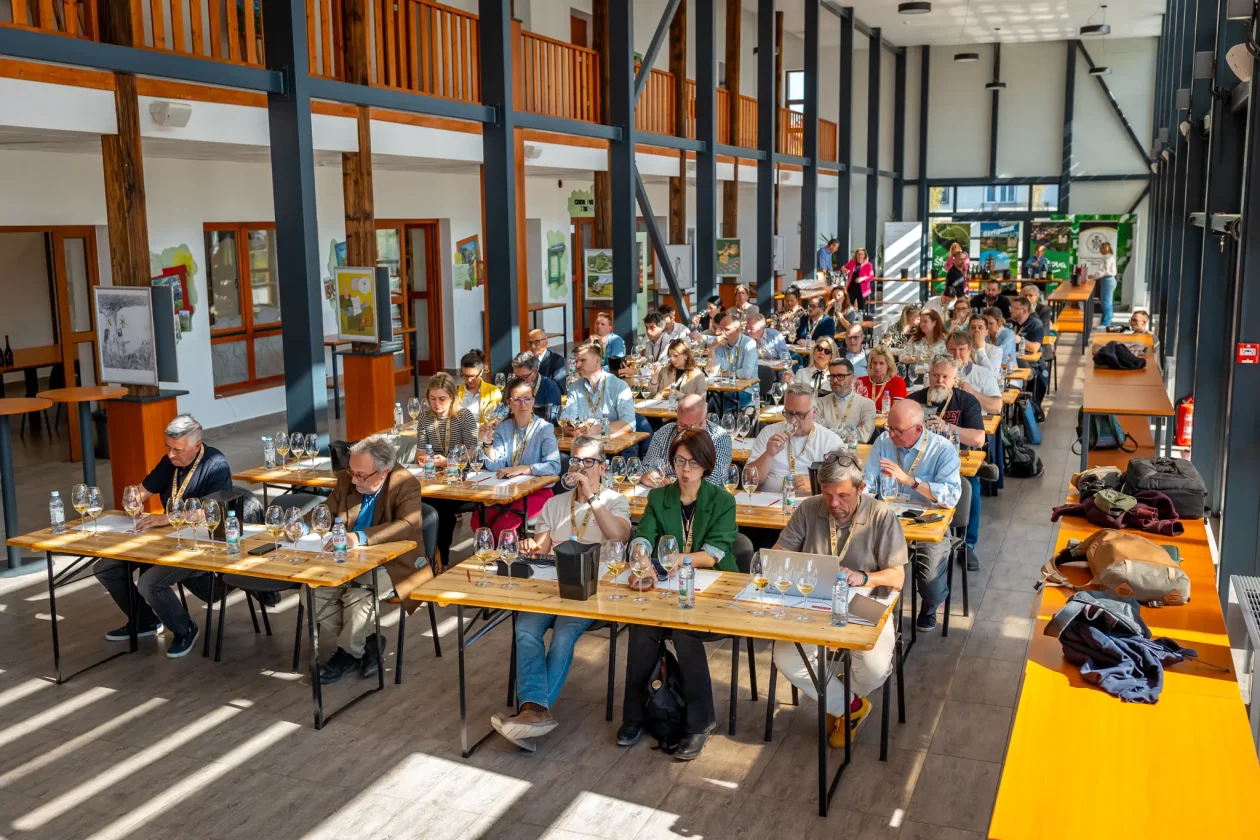 TZMŽ – Terca art – vino Međimurje (6) TZMŽ – Terca art – vino Međimurje (6)