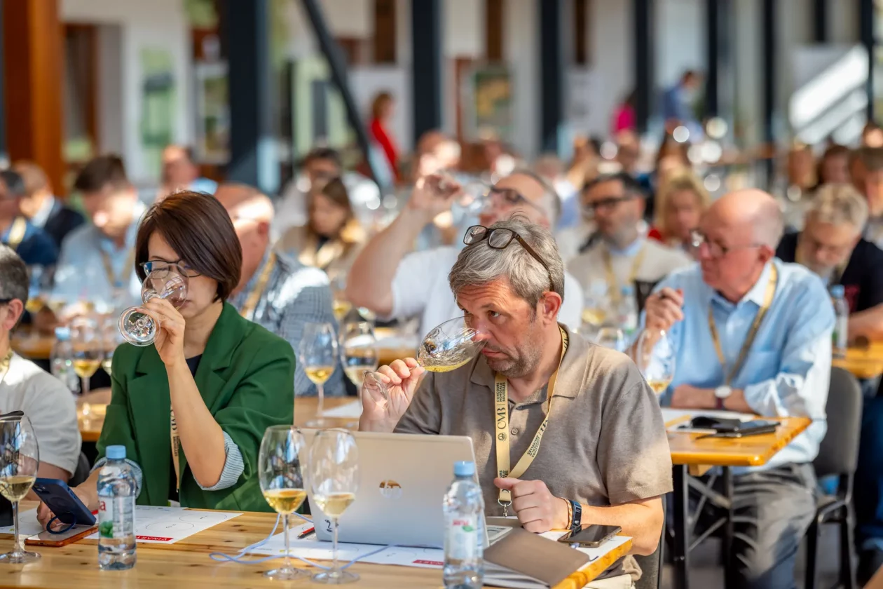 TZMŽ – Terca art – vino Međimurje (7) TZMŽ – Terca art – vino Međimurje (7)