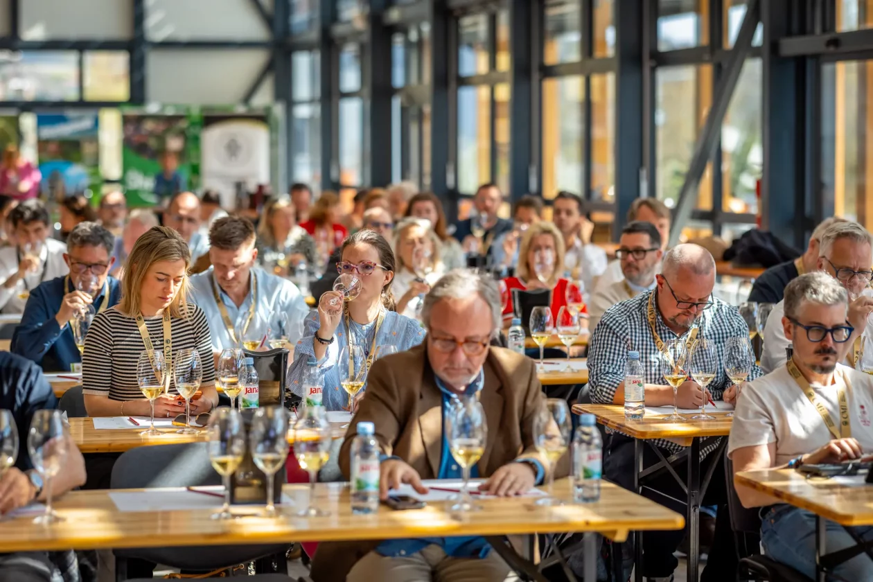 TZMŽ – Terca art – vino Međimurje (9) TZMŽ – Terca art – vino Međimurje (9)